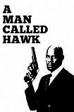 A Man Called Hawk 1989 TV series starring Avery Brooks
