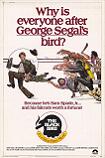 The Black Bird movie starring George Segal