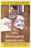 To Kill A Mockingbird brown movie poster