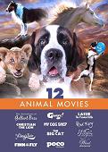 12 Animal Movies DVD box set