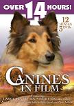 Canines In Film DVD box set