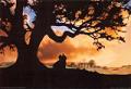 Gone With The Wind poster - oaktree at sunset