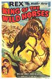 King of The Wild Horses 1924 silent Western feature poster