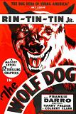 Wolf Dog 1933 12-chapter serial starring Rin Tin Tin, Jr.