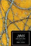2045 dystopian novel by Peter Seidel