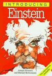 Introducing Einstein bestseller book by Joseph Schwartz & Michael McGuinness