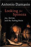 Looking for Spinoza book by Antonio R. Damasio