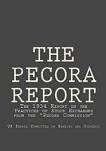 Pecora Report 1934 book by U.S. Senate