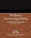 The Book of American Negro Poetry edited by James Weldon Johnson