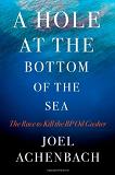 Hole at the Bottom of the Sea book by Joel Achenbach