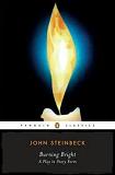 Burning Bright novella by John Steinbeck