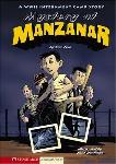 Mystery At Manzanar graphic YA novel by Eric Fein & Kurt Hartman