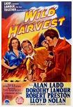 Wild Harvest 1947 movie starring Alan Ladd & Dorothy Lamour